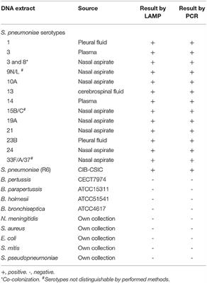 Validation of a Loop-Mediated Isothermal Amplification Assay for Rapid Diagnosis of Invasive Pneumococcal Disease